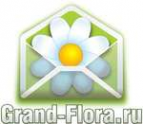 Логотип компании Доставка цветов Гранд Флора (ф-л г.Тосно)